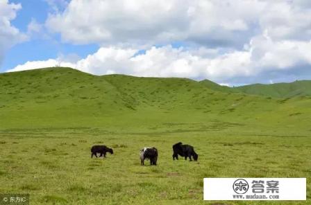 为什么知道旅游购物有骗局,还是有很多人被骗?