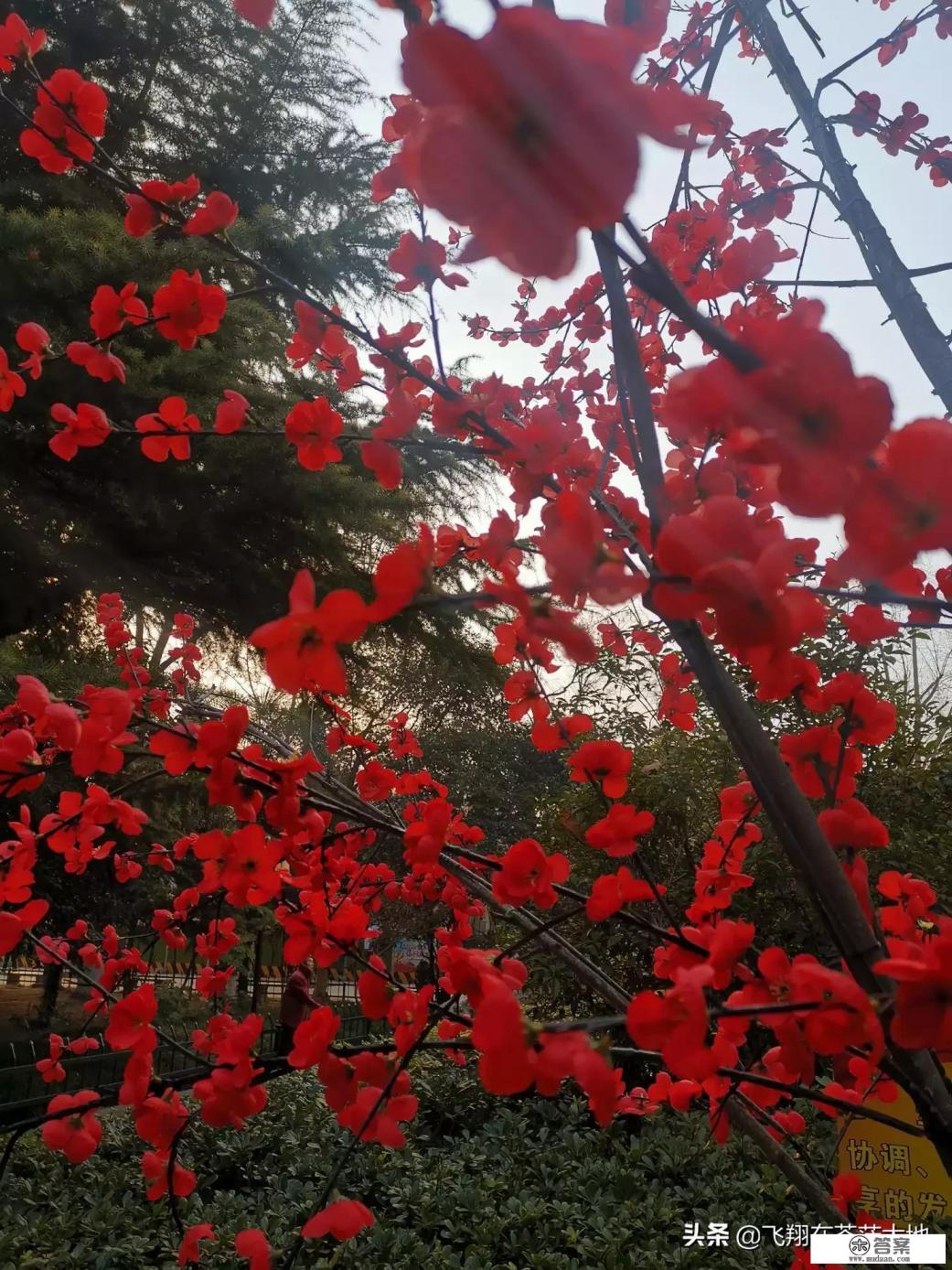 陕西旅游人多吗？