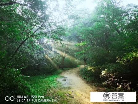 什么词最能反应你旅游时的心情?