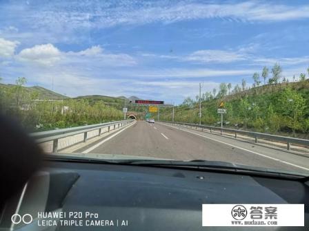 什么词最能反应你旅游时的心情？