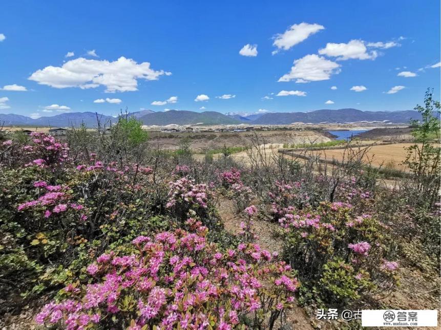 今年五一去香格里拉旅游合适吗？安全吗？