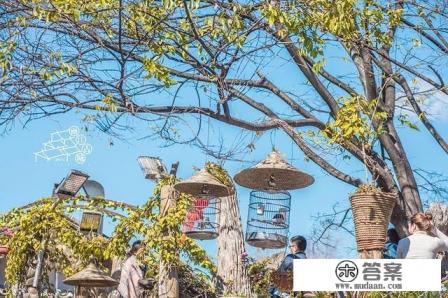 为什么很多人选择冬天去丽江旅游？