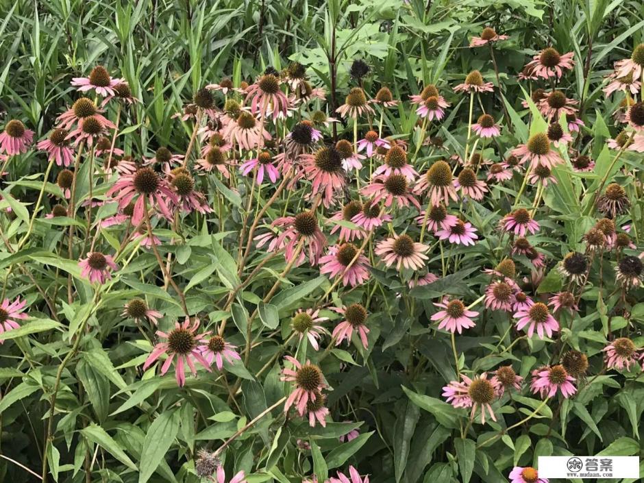 贵州旅游路颠簸吗？