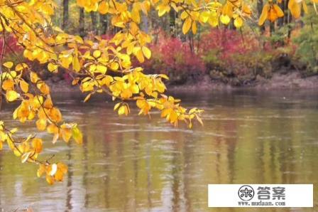 什么是旅游审美？