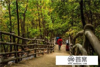 去哪儿旅行怎么接单？