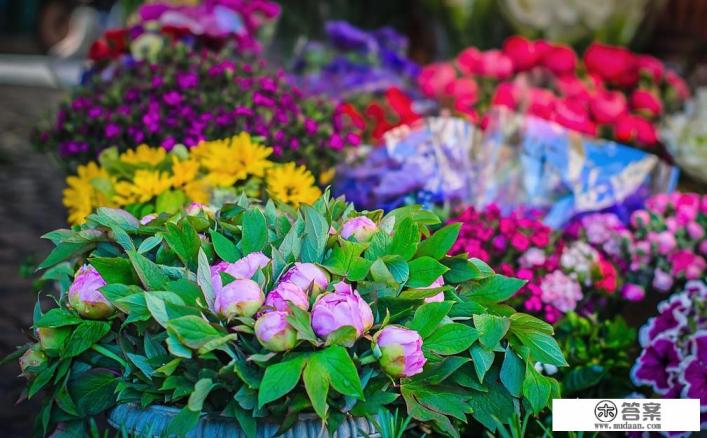 去罗马游玩，有什么推荐的攻略？