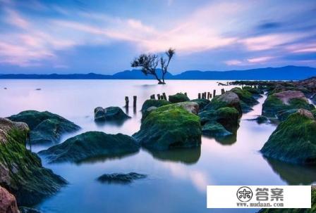 旅游这个行业的未来趋势是怎样的？