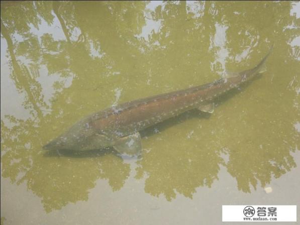 渴了可以直接喝水吗?