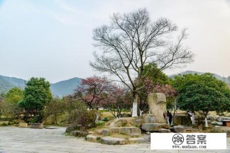 杭州之旅朋友圈语录？