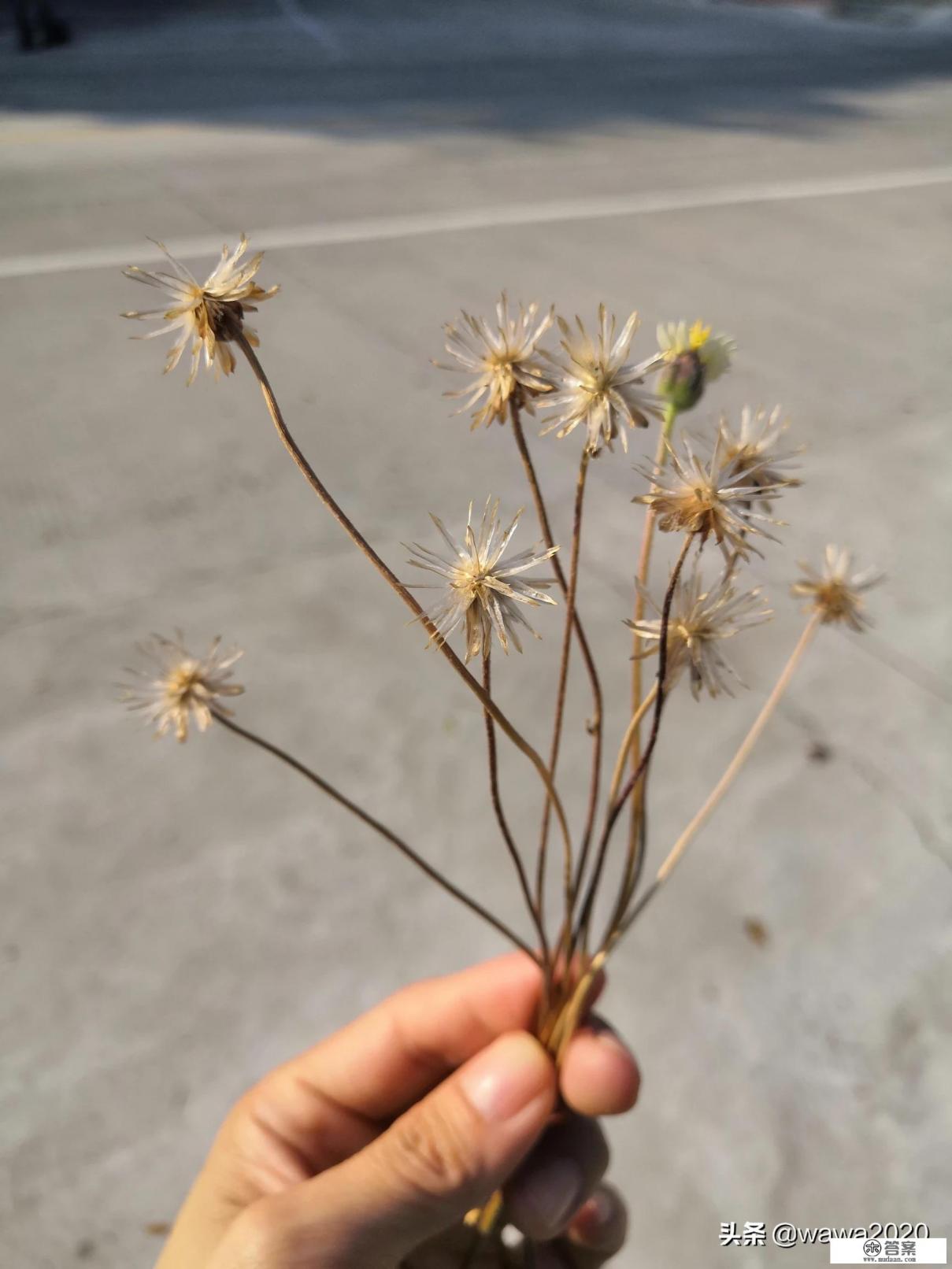 感觉自己太多疑了怎么办?