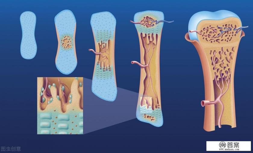 伤筋动骨100天是谁的名言？