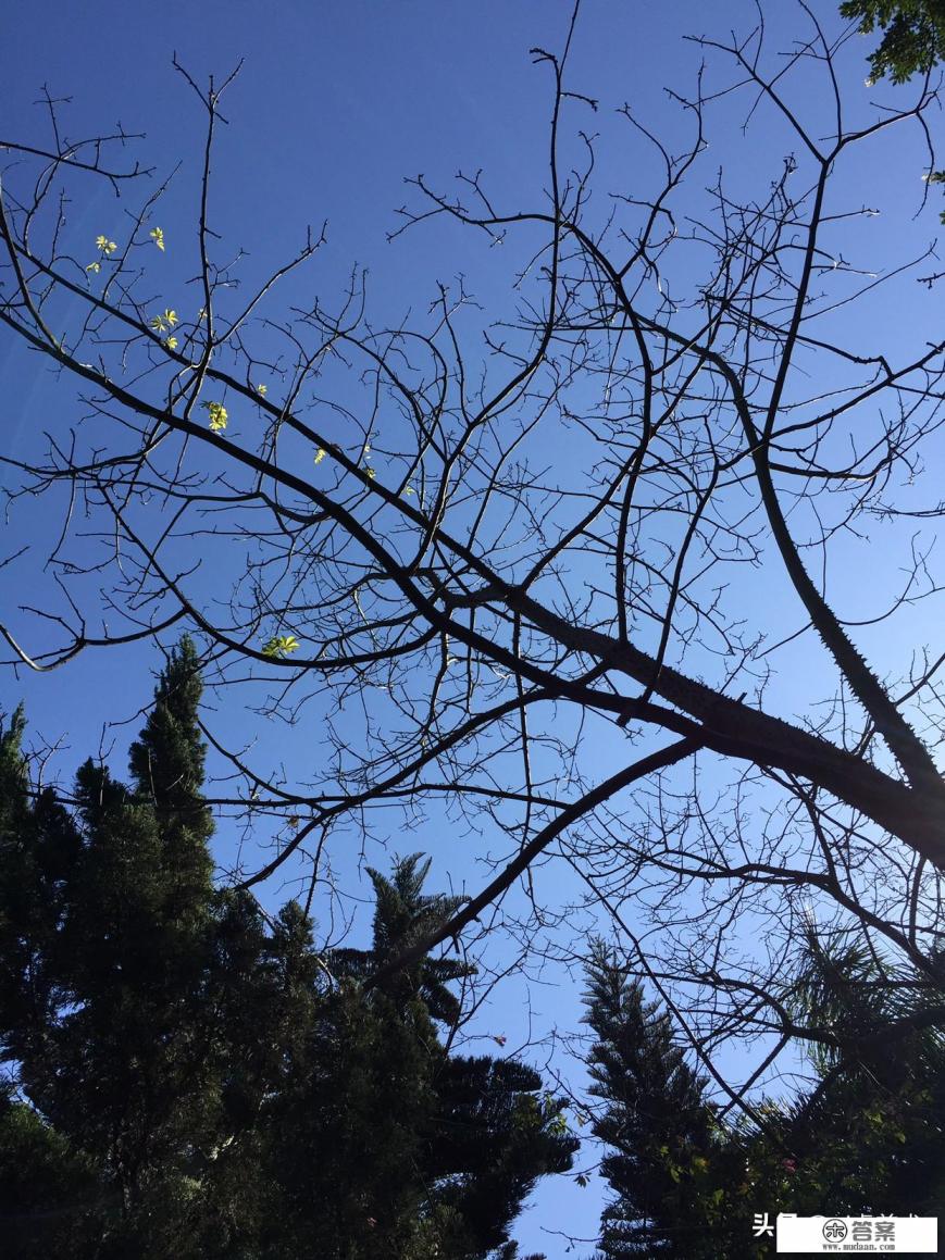 芝加哥艺术学院在芝加哥什么位置？