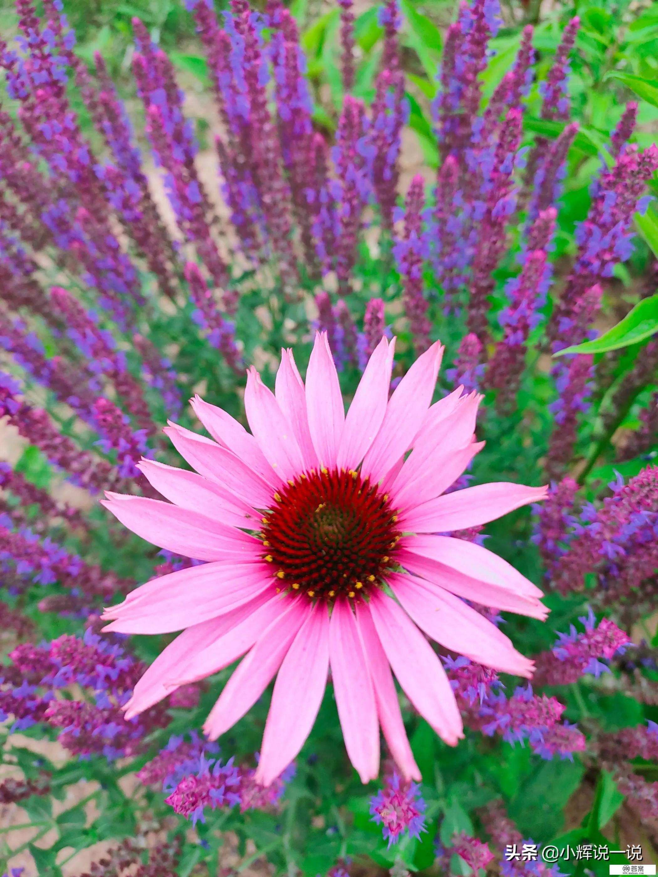 信用卡用于经营的后果？