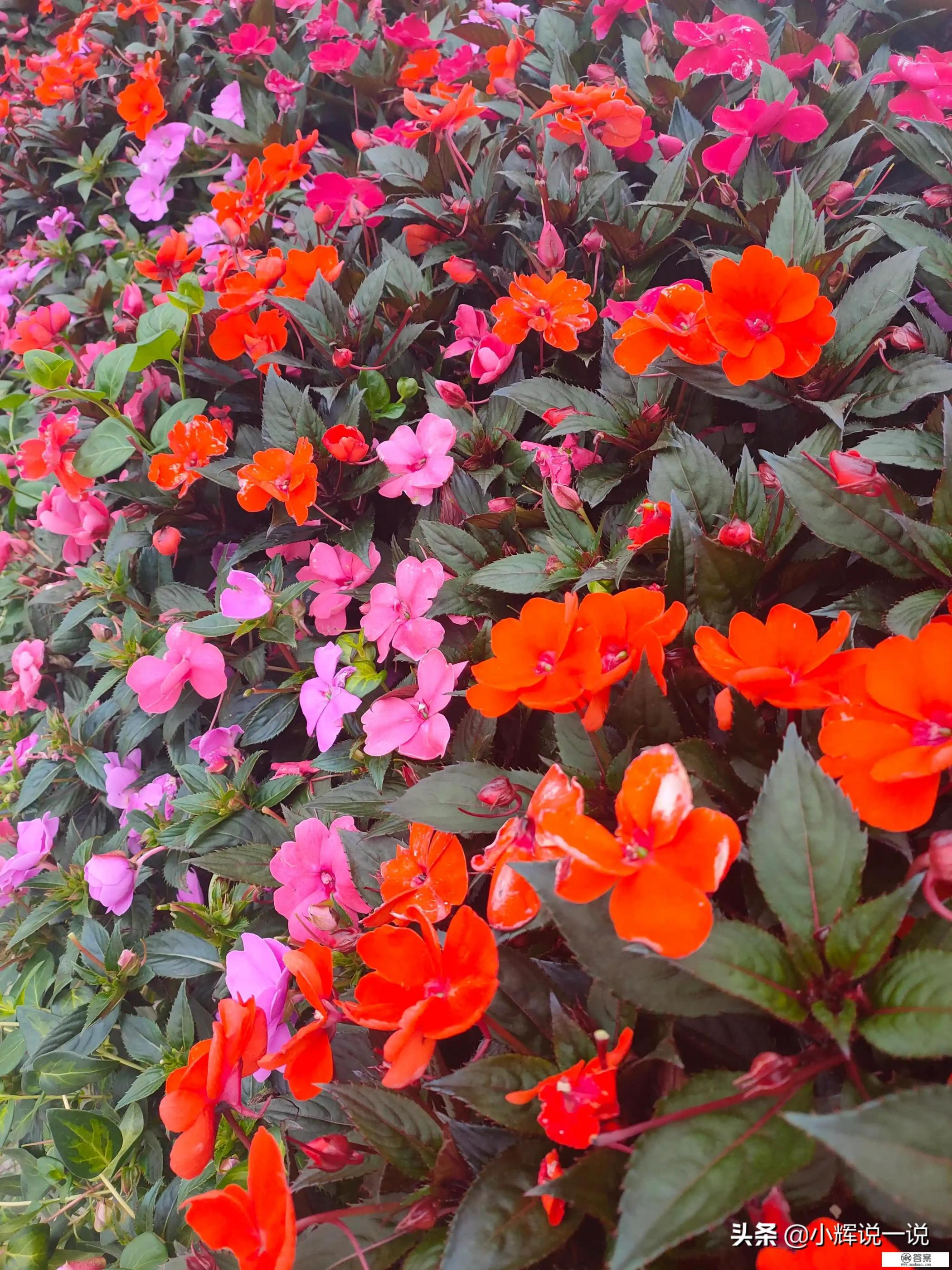 信用卡用于经营的后果？