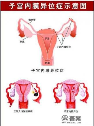 来月经时同房，绝经后对身体会有哪些影响？