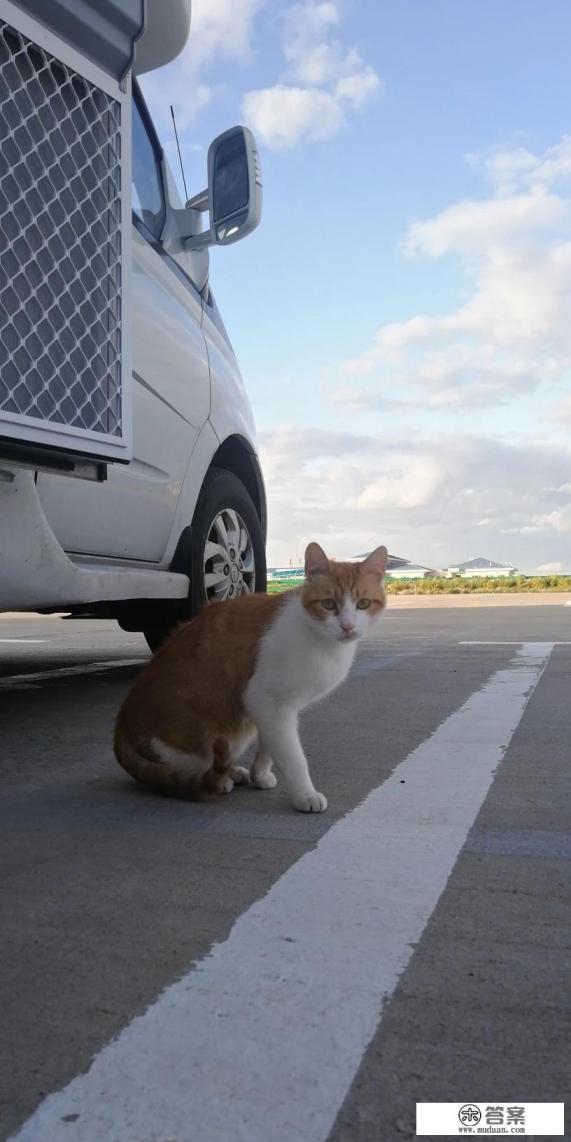 如何查询房车营地？