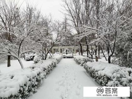 书是否能被游戏取代？