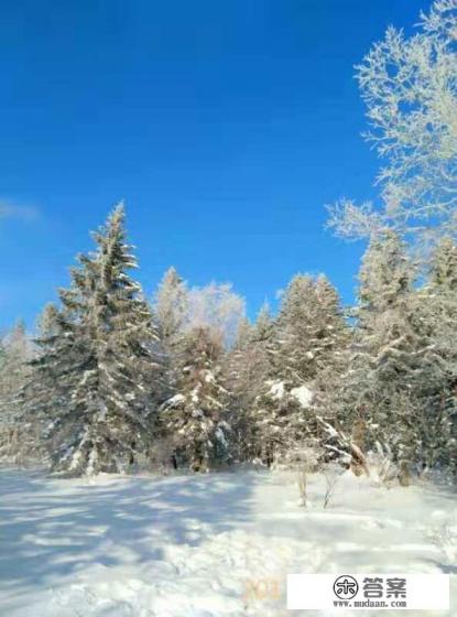 卡罗拉旅行版官方最新国产的消息？