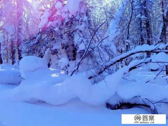 卡罗拉旅行版官方最新国产的消息？