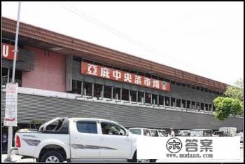 沙巴嘉宝果地栽要注意什么？