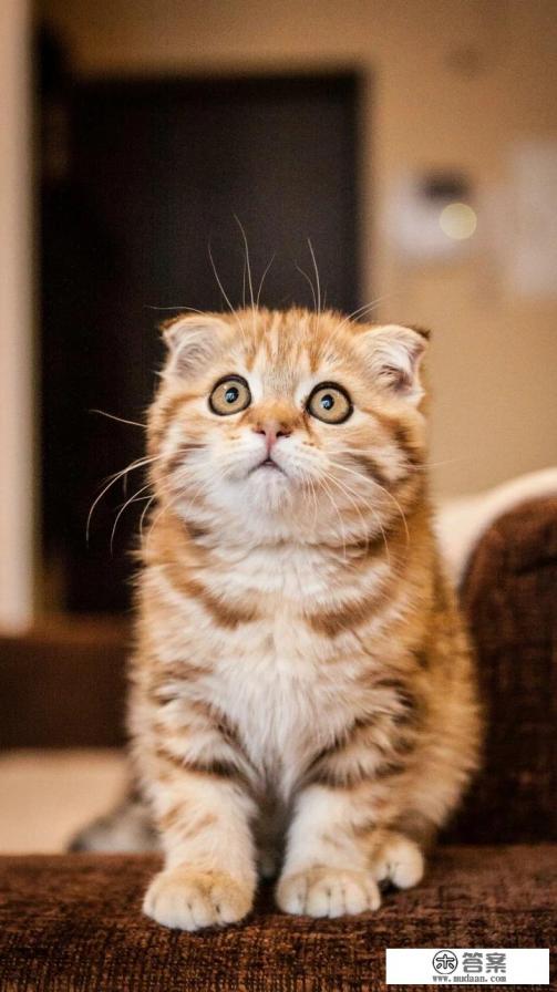 掉头发多少根正常？