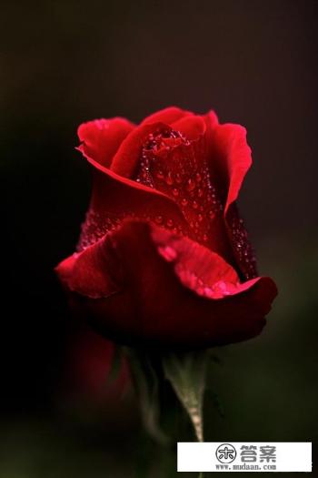 “七年之痒”指的是结婚后第七年还是第八年？