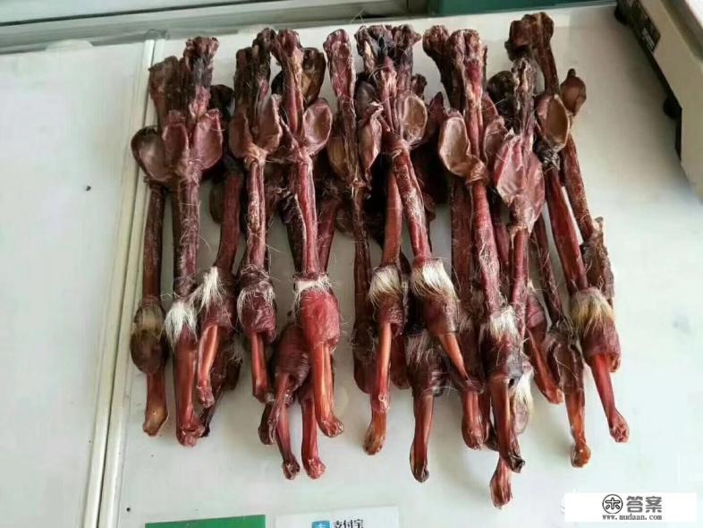 干锁阳怎么泡酒？