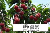 重庆到广州自驾游沿途有什么景点? 重庆到广州自驾游沿途有什么景点?