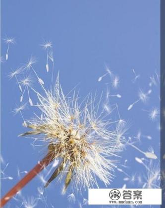 十年前你的誓言,十年后你做到了吗?