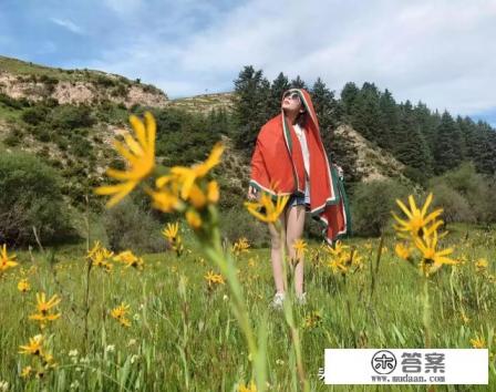 青海旅游团有必要报团吗? 青海旅游团有必要报团吗?