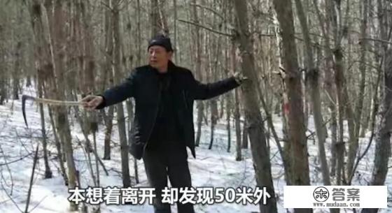 老虎向你扑来，哪种做法能保命，原地不动、转身逃跑、英勇反抗？