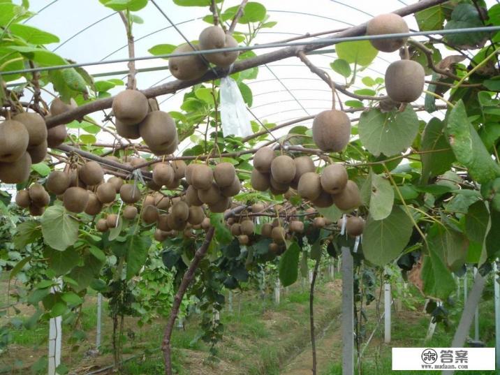 旅游公司产品或服务有哪些 旅游公司产品或服务有哪些