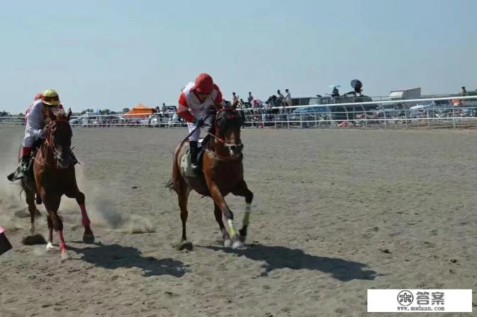 你有为景区策划旅游活动或进行旅游推广策划的经历吗？有什么收获或心得？