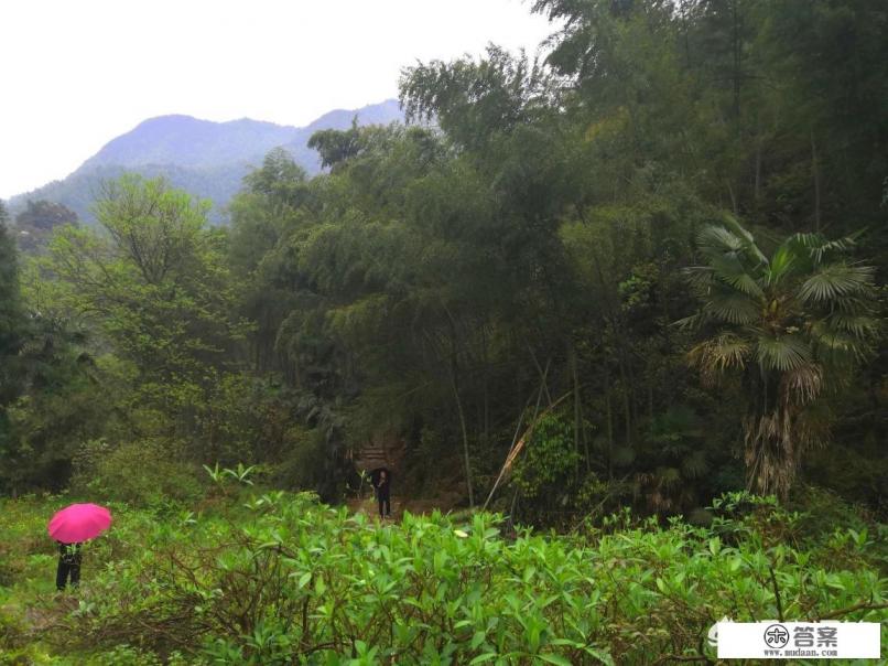 一名高三毕业生，打算兼职存钱一年出国旅游去法国或者美国，有什么建议吗？