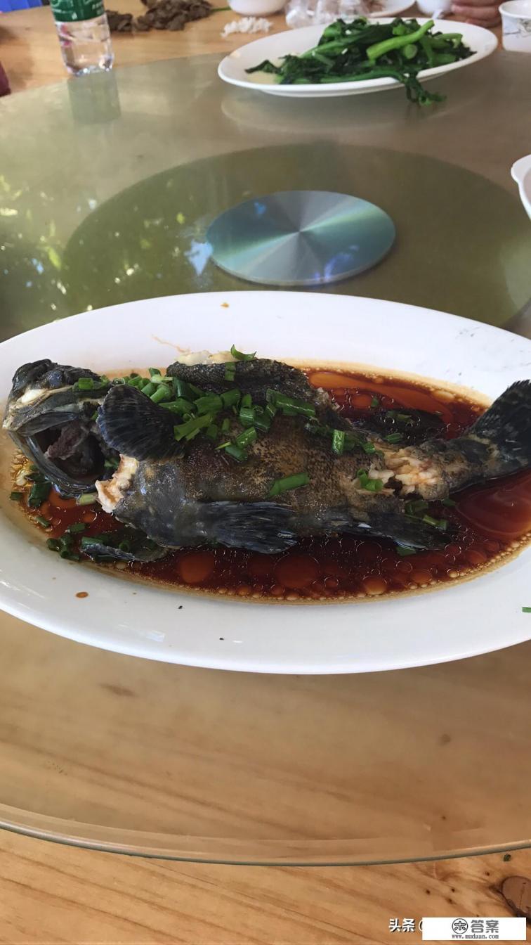 这个暑假我想去海边玩，有什么推荐的地方？