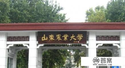 泰安有什么大学？