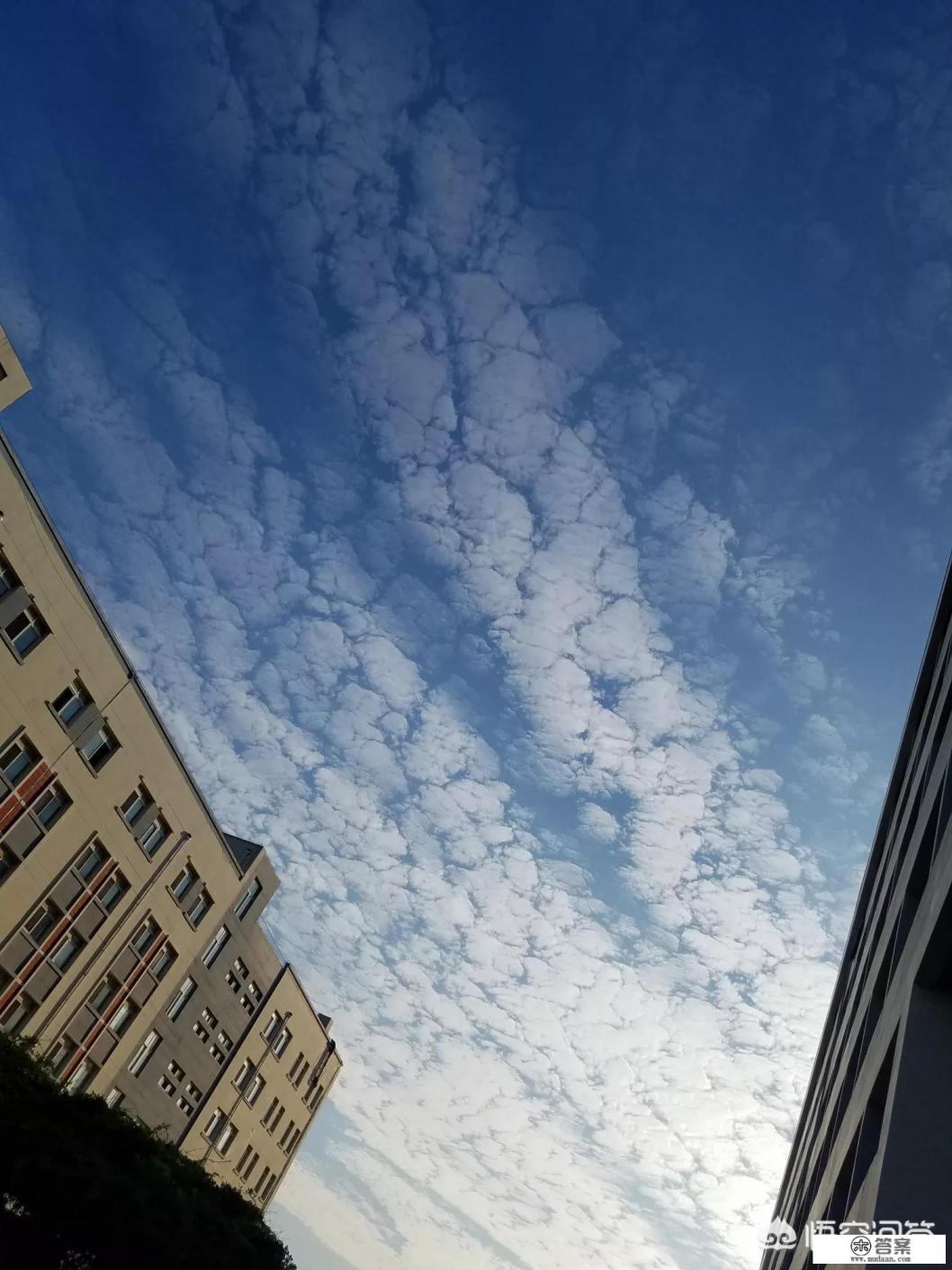 我家是男孩子，喜欢《冰雪奇缘》，我该不该阻止？