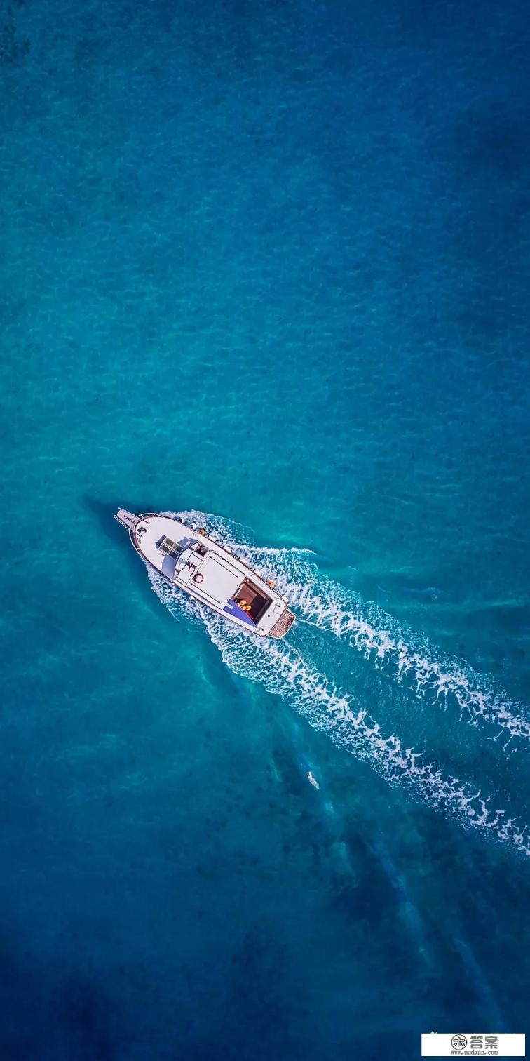 单机游戏中角色的AI是指什么意思？