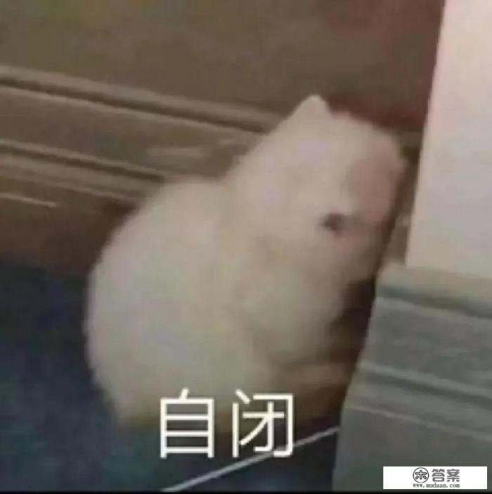 老婆去哪嗨了小游戏第36关怎么过？