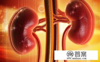 敖东安神补脑液价格？