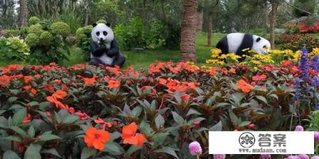 怎么旅游最省钱？住宿最省钱？景点最省钱？是跟团还是自己去？