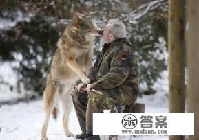 被判信用卡诈骗罪减刑假释可以吗？怎么做？