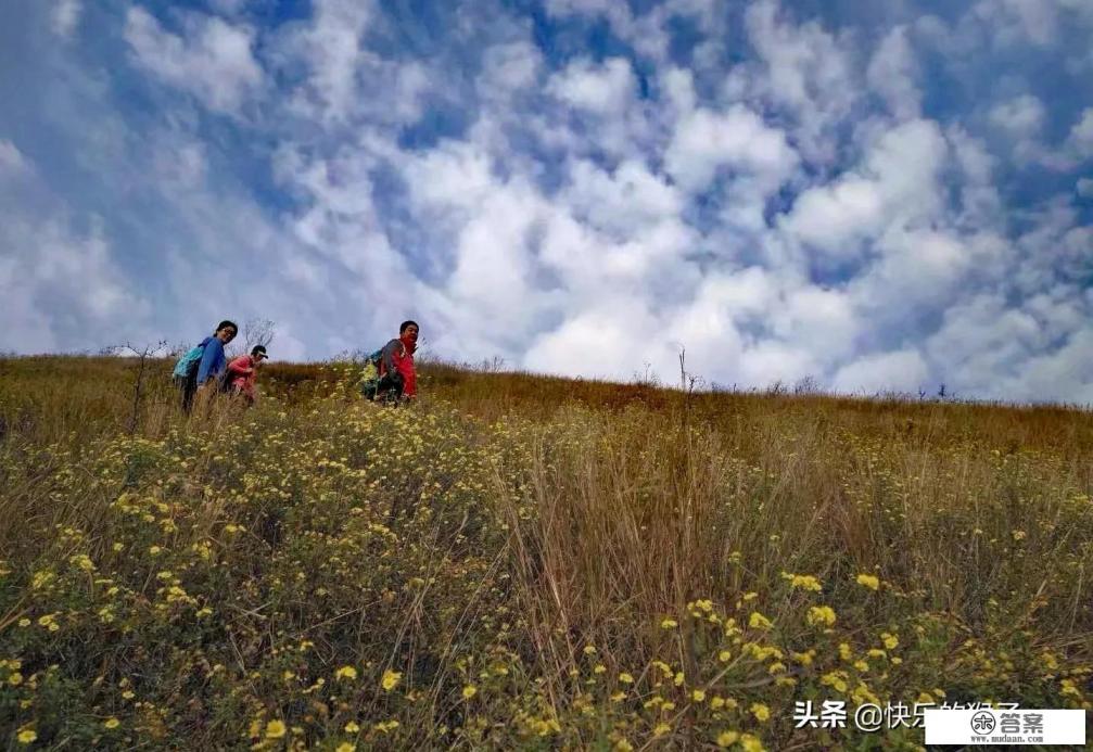 都来说说看，外出旅游，喜欢拍照吗？还是几乎不拍照？