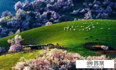 去新疆旅游，每天都是在路上，这是真的吗？