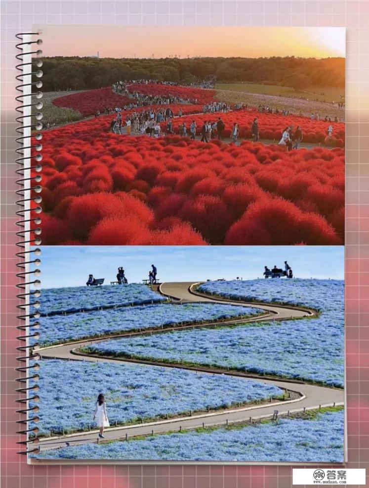 去日本旅游一次大概多少钱，7天左右的话，大概预算是多少？