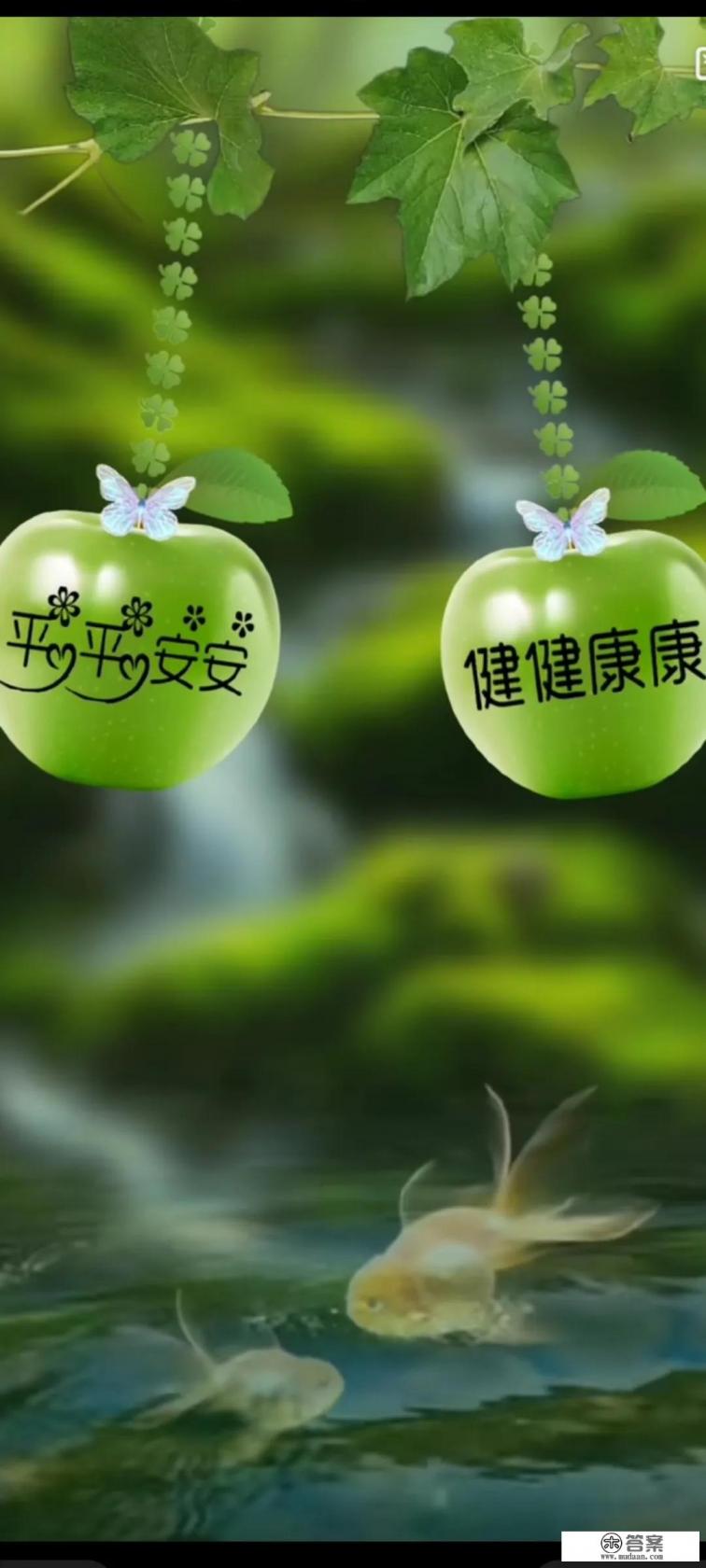 北京三例老人新冠死亡引关注，居家老人何以感染新冠？该如何防？