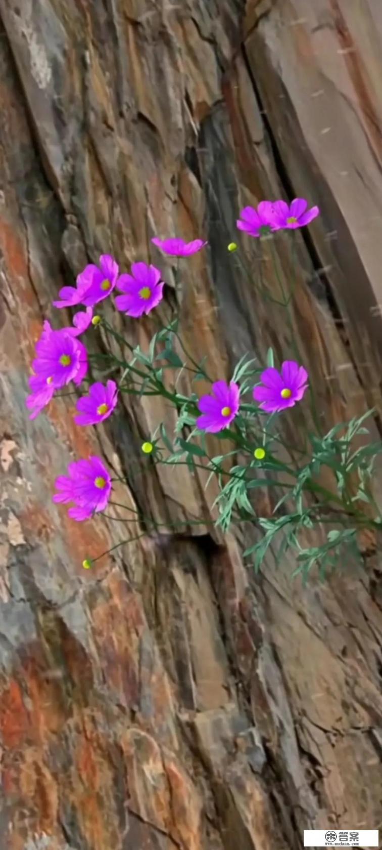 北京三例老人新冠死亡引关注，居家老人何以感染新冠？该如何防？