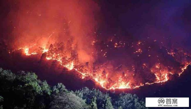 炮弹能不能阻断山火蔓延? 炮弹能不能阻断山火蔓延?