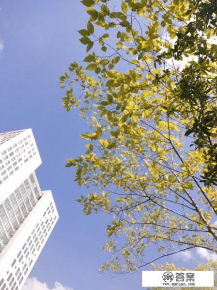 我该怎样度过我的大学生活？