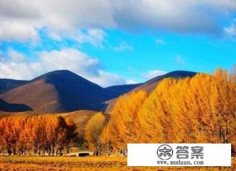 兴义到贵州自驾游攻略？